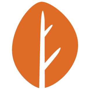 episfunvault.com favicon